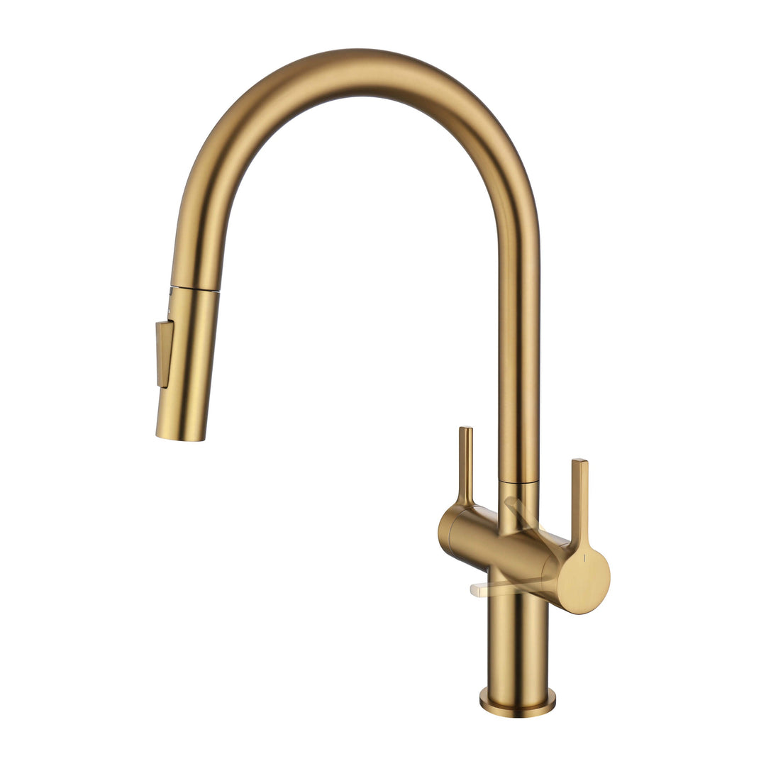 Neo Two-Handle Single-Hole Pull-Down Kitchen Faucet