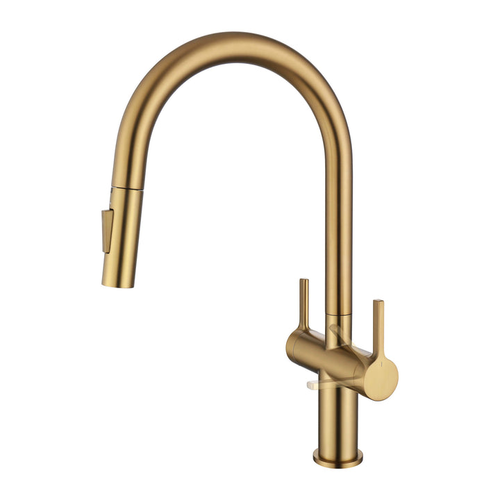 Neo Two-Handle Single-Hole Pull-Down Kitchen Faucet