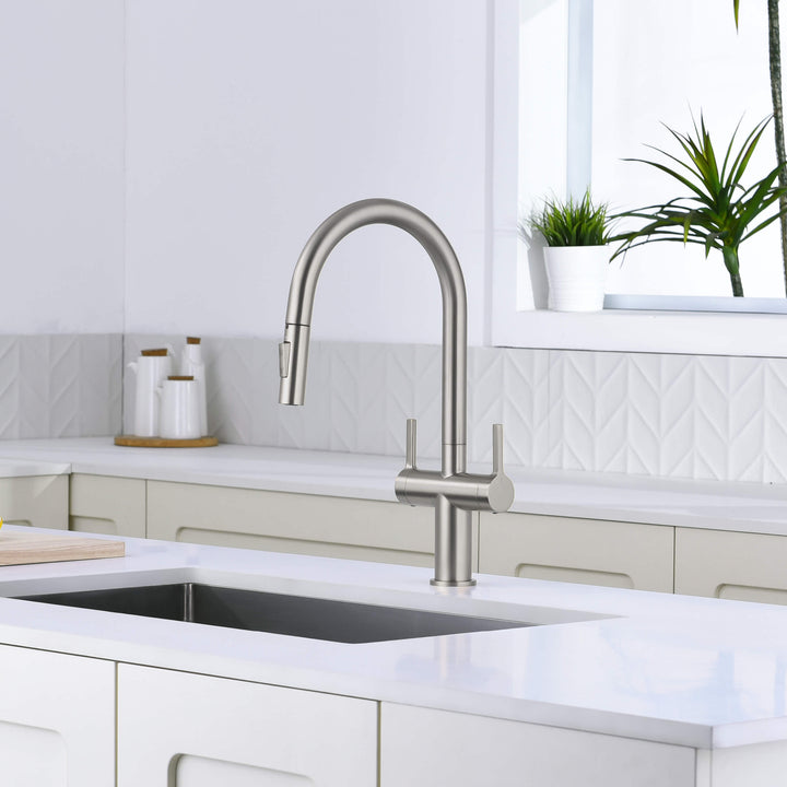Neo Two-Handle Single-Hole Pull-Down Kitchen Faucet