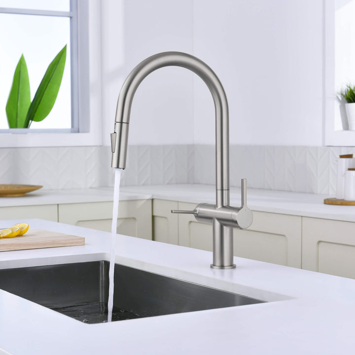 Neo Two-Handle Single-Hole Pull-Down Kitchen Faucet