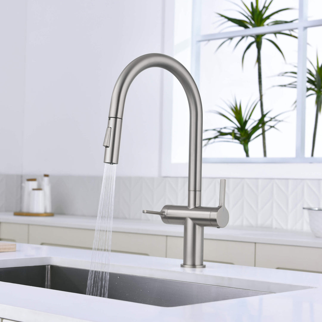 Neo Two-Handle Single-Hole Pull-Down Kitchen Faucet