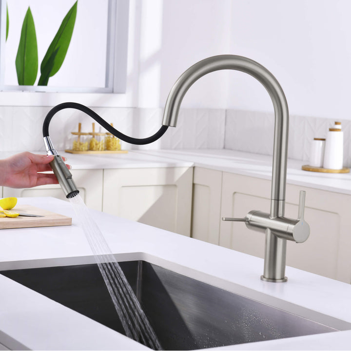 Neo Two-Handle Single-Hole Pull-Down Kitchen Faucet