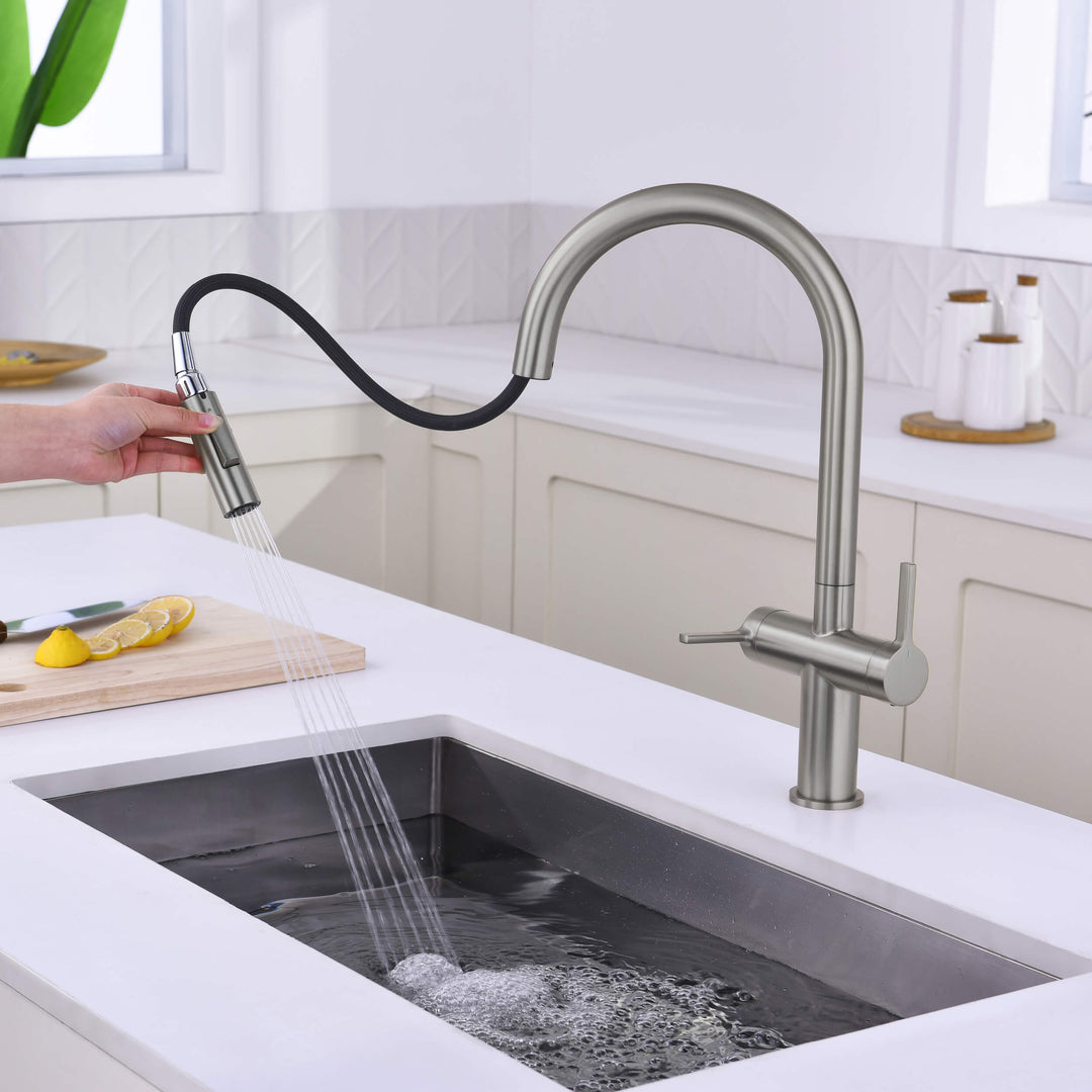Neo Two-Handle Single-Hole Pull-Down Kitchen Faucet