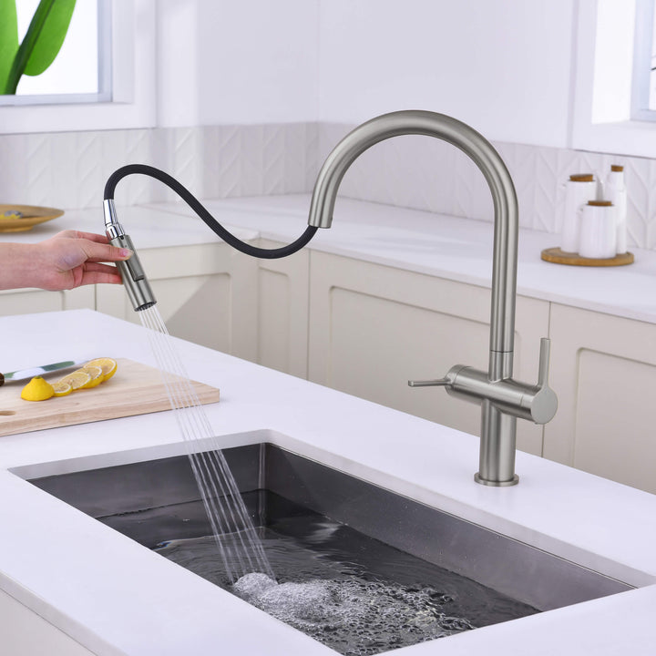 Neo Two-Handle Single-Hole Pull-Down Kitchen Faucet