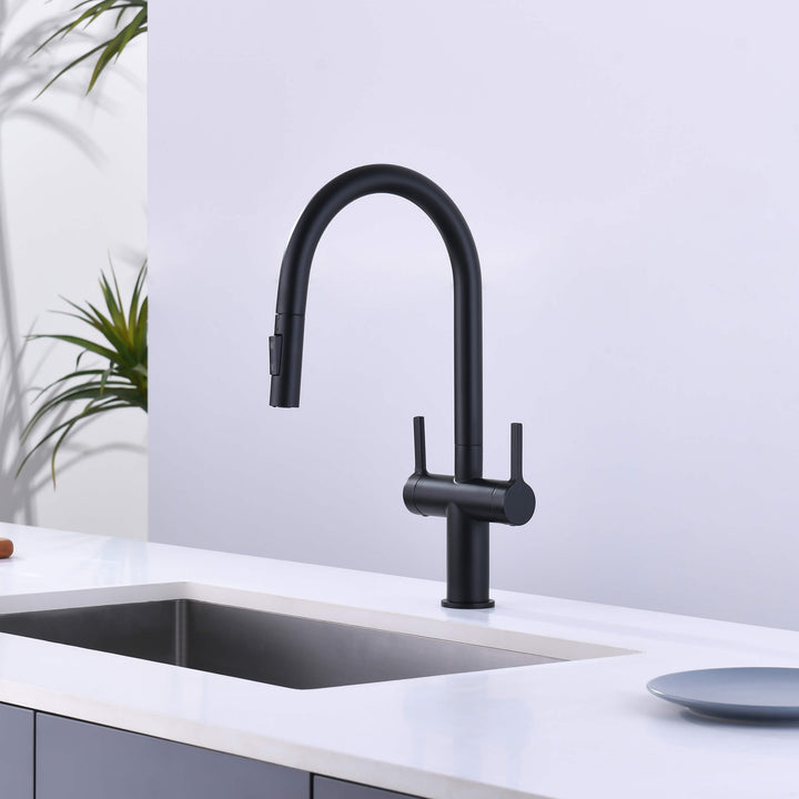 Neo Two-Handle Single-Hole Pull-Down Kitchen Faucet