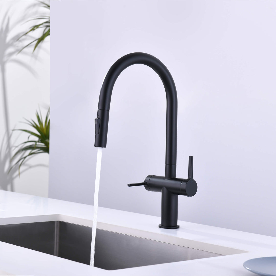 Neo Two-Handle Single-Hole Pull-Down Kitchen Faucet