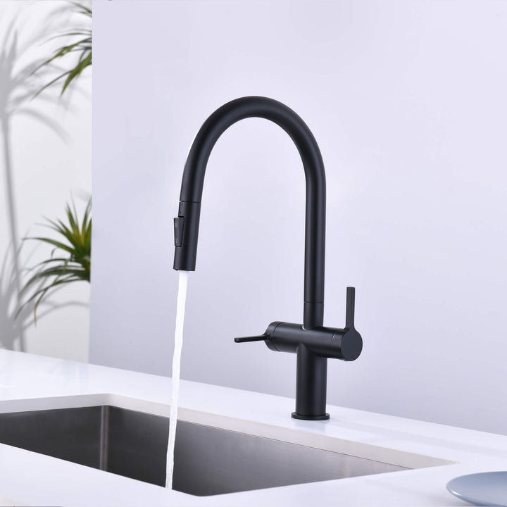 Neo Two-Handle Single-Hole Pull-Down Kitchen Faucet