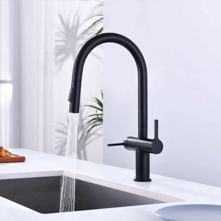 Neo Two-Handle Single-Hole Pull-Down Kitchen Faucet