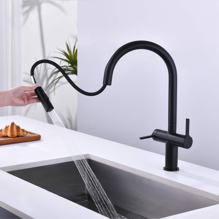 Neo Two-Handle Single-Hole Pull-Down Kitchen Faucet