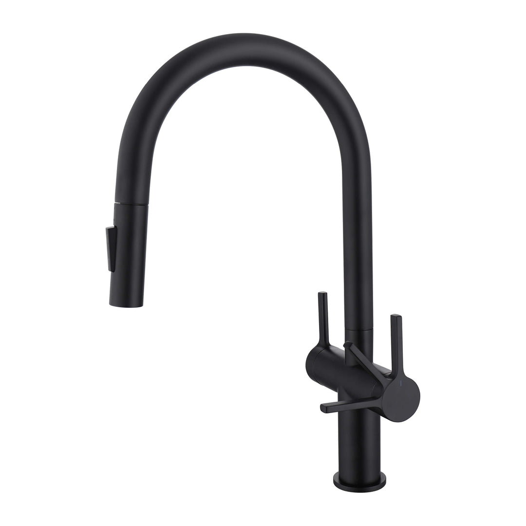 Neo Two-Handle Single-Hole Pull-Down Kitchen Faucet
