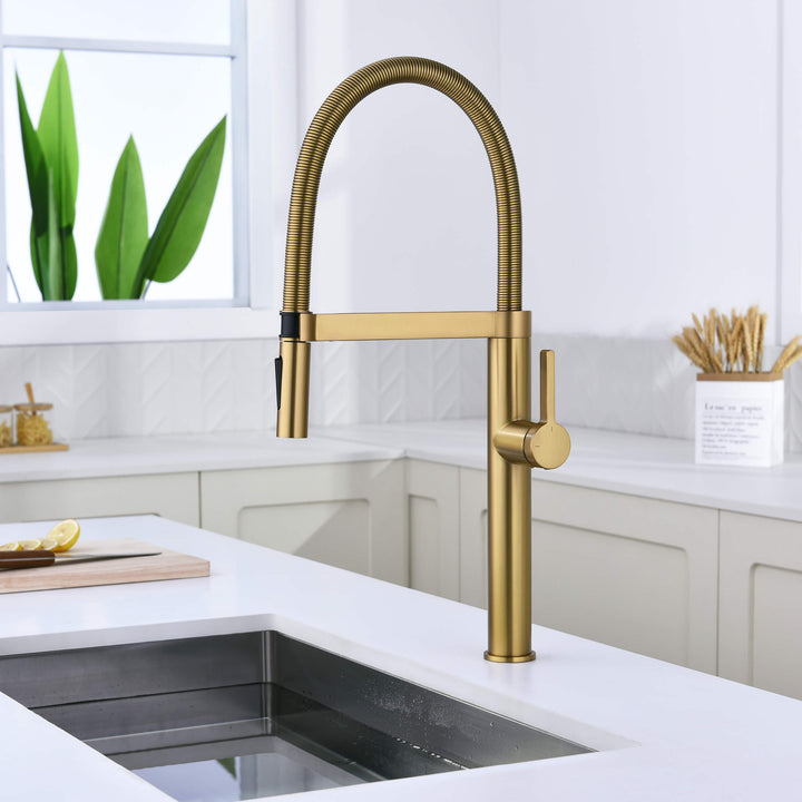 Neo Pro-Style Single-Handle Kitchen Faucet