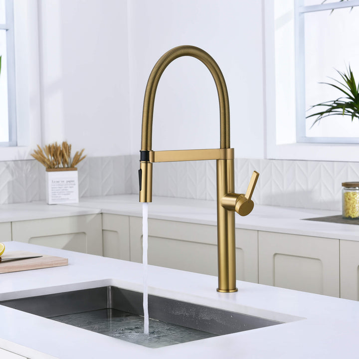 Neo Pro-Style Single-Handle Kitchen Faucet