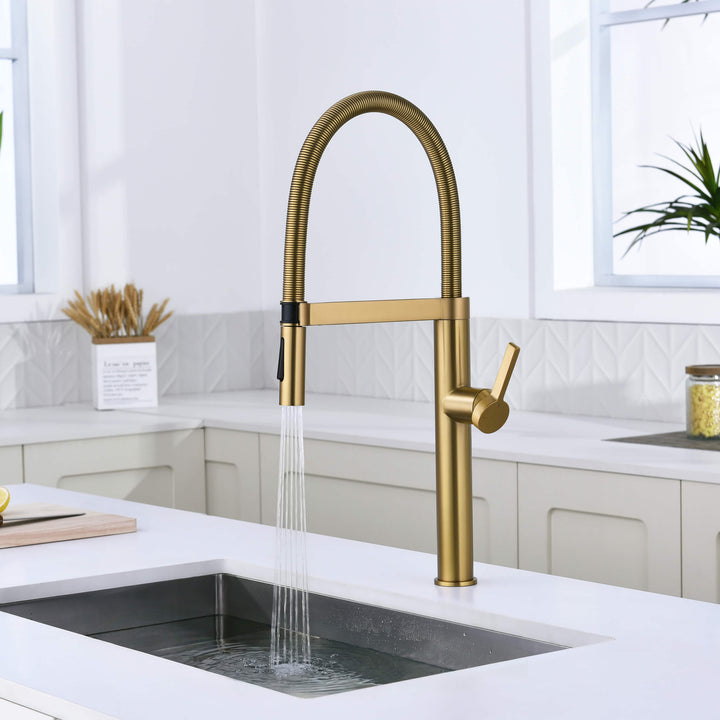 Neo Pro-Style Single-Handle Kitchen Faucet