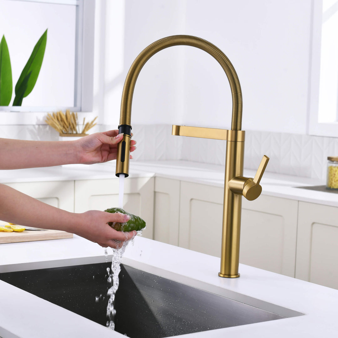 Neo Pro-Style Single-Handle Kitchen Faucet