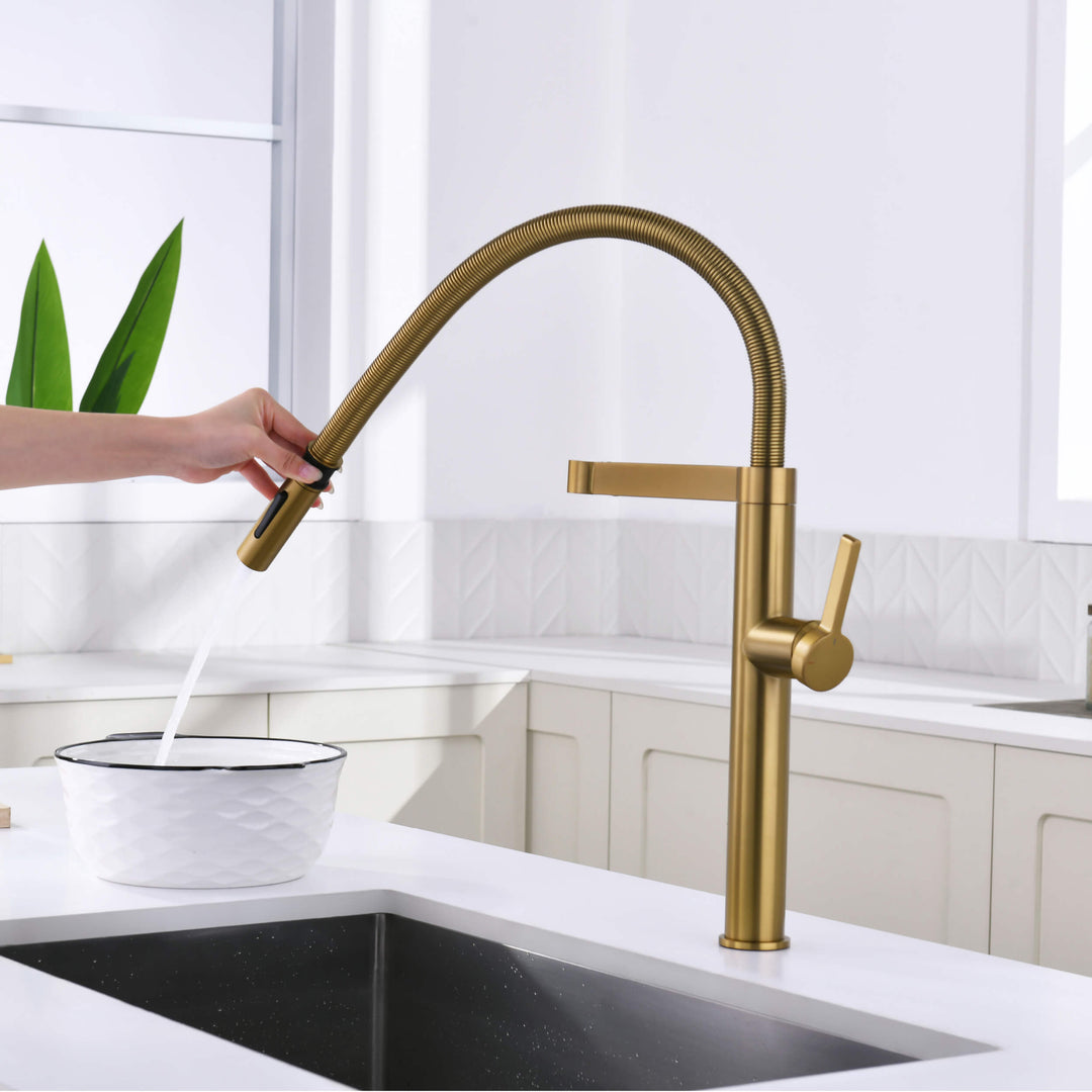 Neo Pro-Style Single-Handle Kitchen Faucet