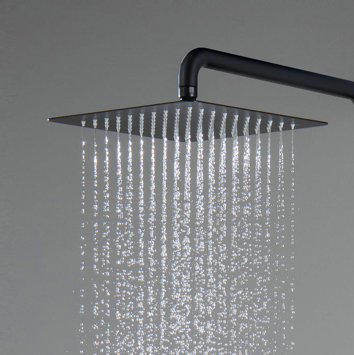 Quadra Pressure-Balanced 2-Function Wall Mount Shower Column with Rough-In Valve
