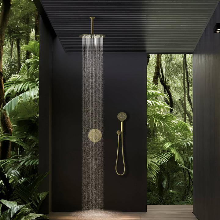 Halo Pressure-Balanced 2-Function Ceiling-Mount Shower System with Rough-In Valve