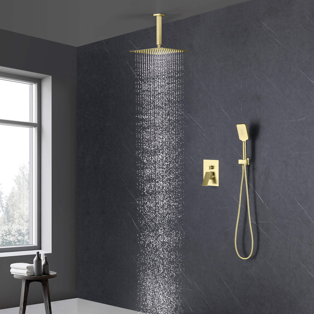Quadra Pressure-Balanced 2-Function Ceiling Mount Shower System with Rough-In Valve