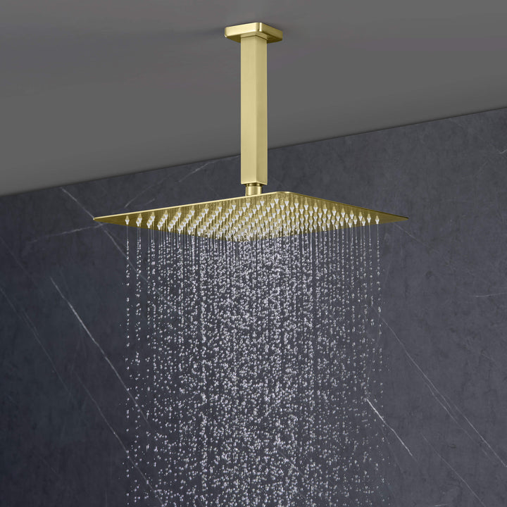 Quadra Pressure-Balanced 3-Function Ceiling Mount Shower System with Rough-In Valve