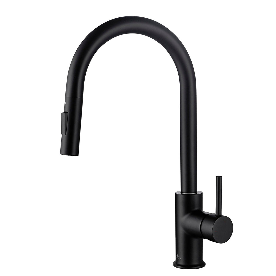 Single-Handle Pull-Down Kitchen Faucet in 206