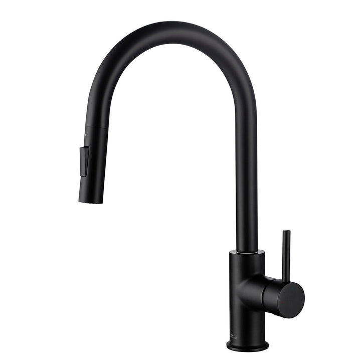 Single-Handle Pull-Down Kitchen Faucet in 206