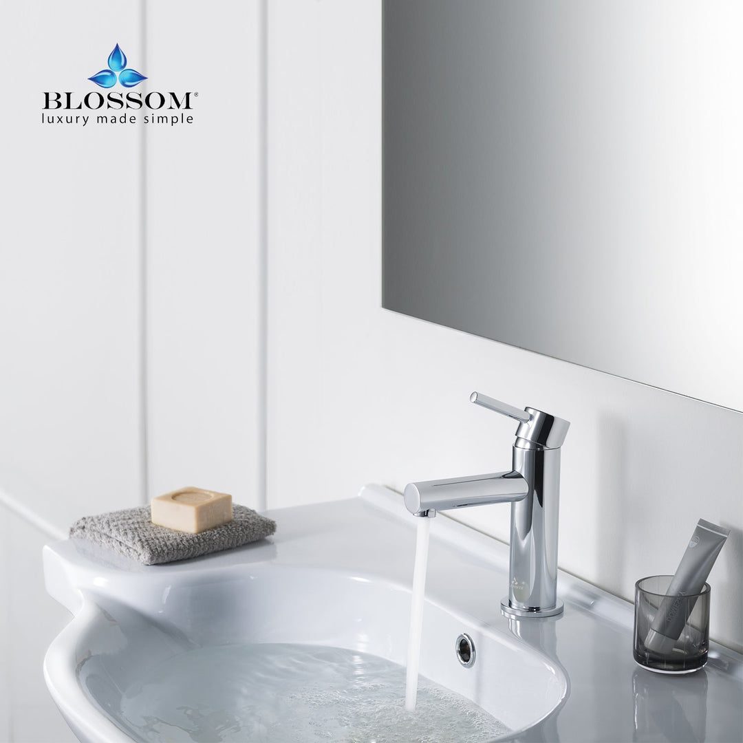 Single-Handle Single-Hole Bathroom Faucet in 116