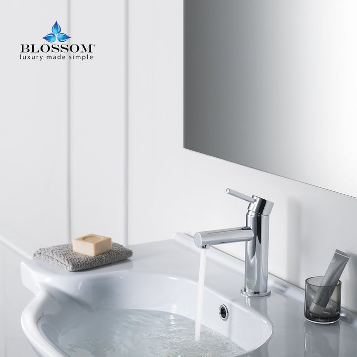 Single-Handle Single-Hole Bathroom Faucet in 116