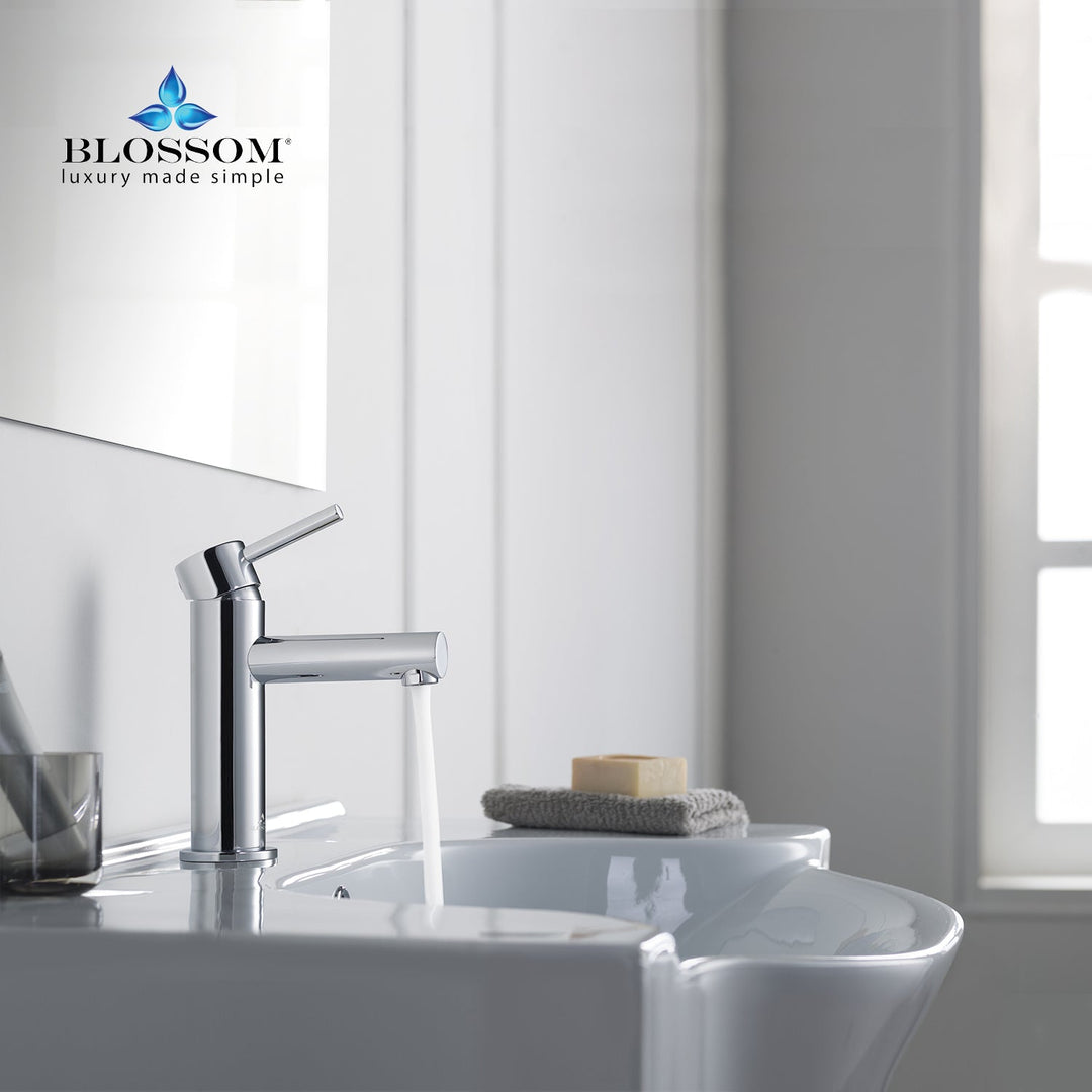 Single-Handle Single-Hole Bathroom Faucet in 116