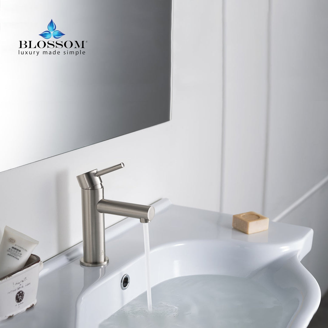 Single-Handle Single-Hole Bathroom Faucet in 116