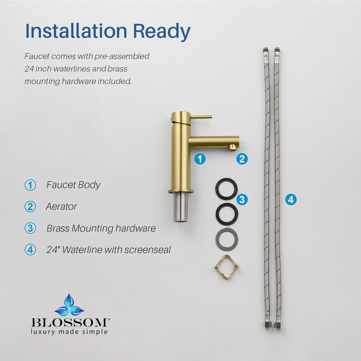 Single-Handle Single-Hole Bathroom Faucet in 116