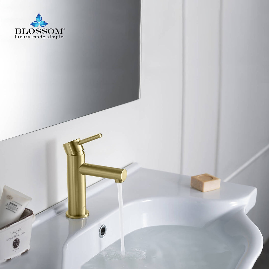 Single-Handle Single-Hole Bathroom Faucet in 116