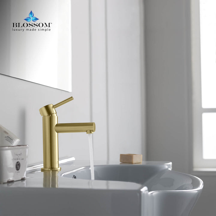 Single-Handle Single-Hole Bathroom Faucet in 116