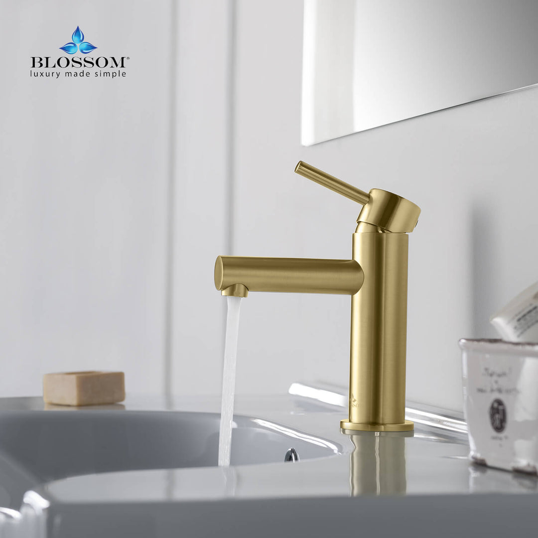 Single-Handle Single-Hole Bathroom Faucet in 116