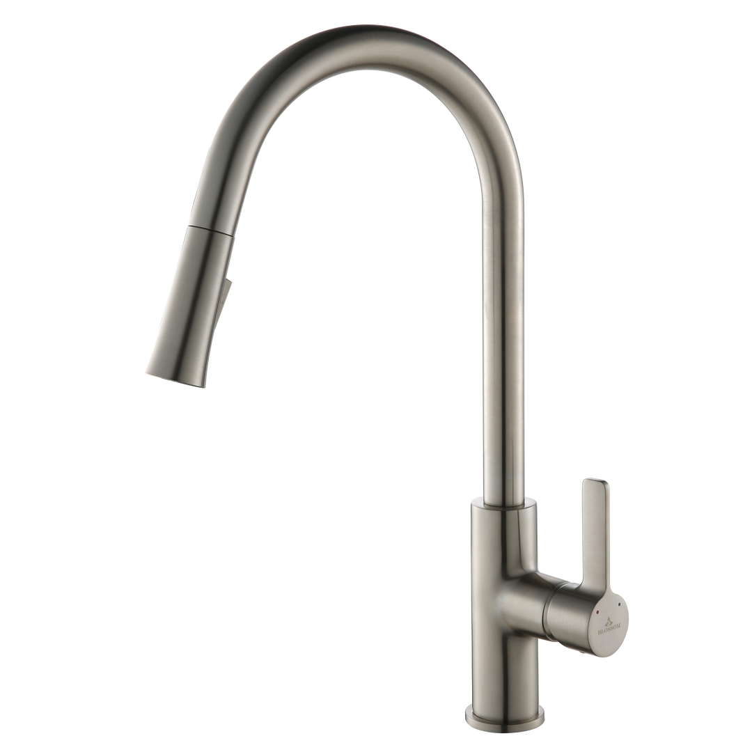 Single-Handle Pull-Down Kitchen Faucet in 201