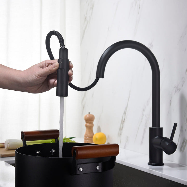 Single-Handle Pull-Down Kitchen Faucet in 206