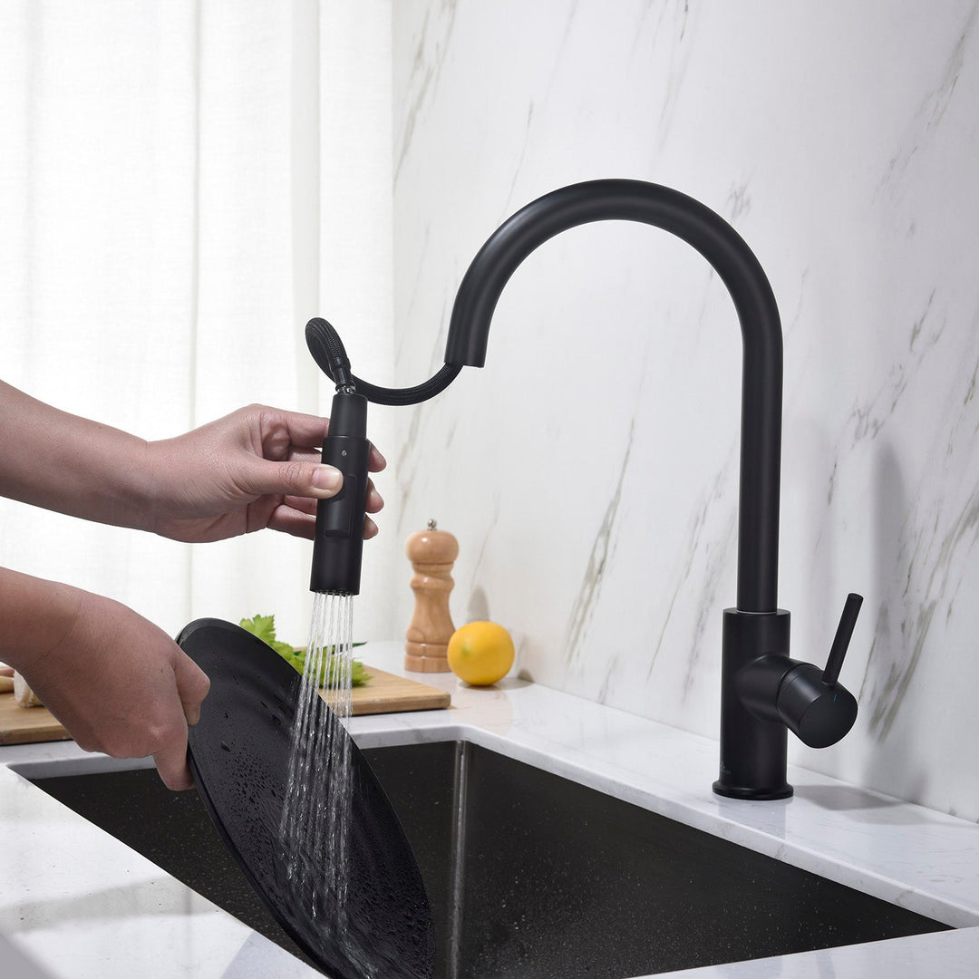 Single-Handle Pull-Down Kitchen Faucet in 206