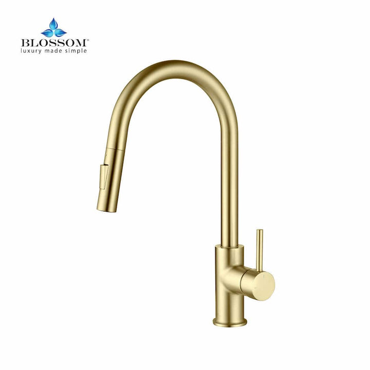 Single-Handle Pull-Down Kitchen Faucet in 206
