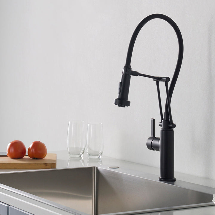 Single-Handle Pull-Out Kitchen Faucet in 208