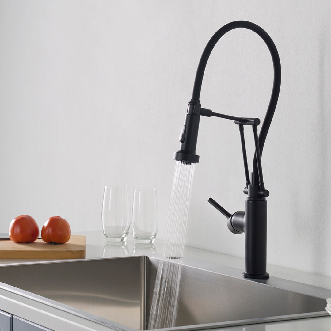 Single-Handle Pull-Out Kitchen Faucet in 208