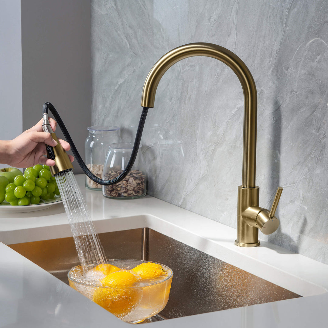 Value Collection Single-Handle Pull-Down Kitchen Faucet in F102