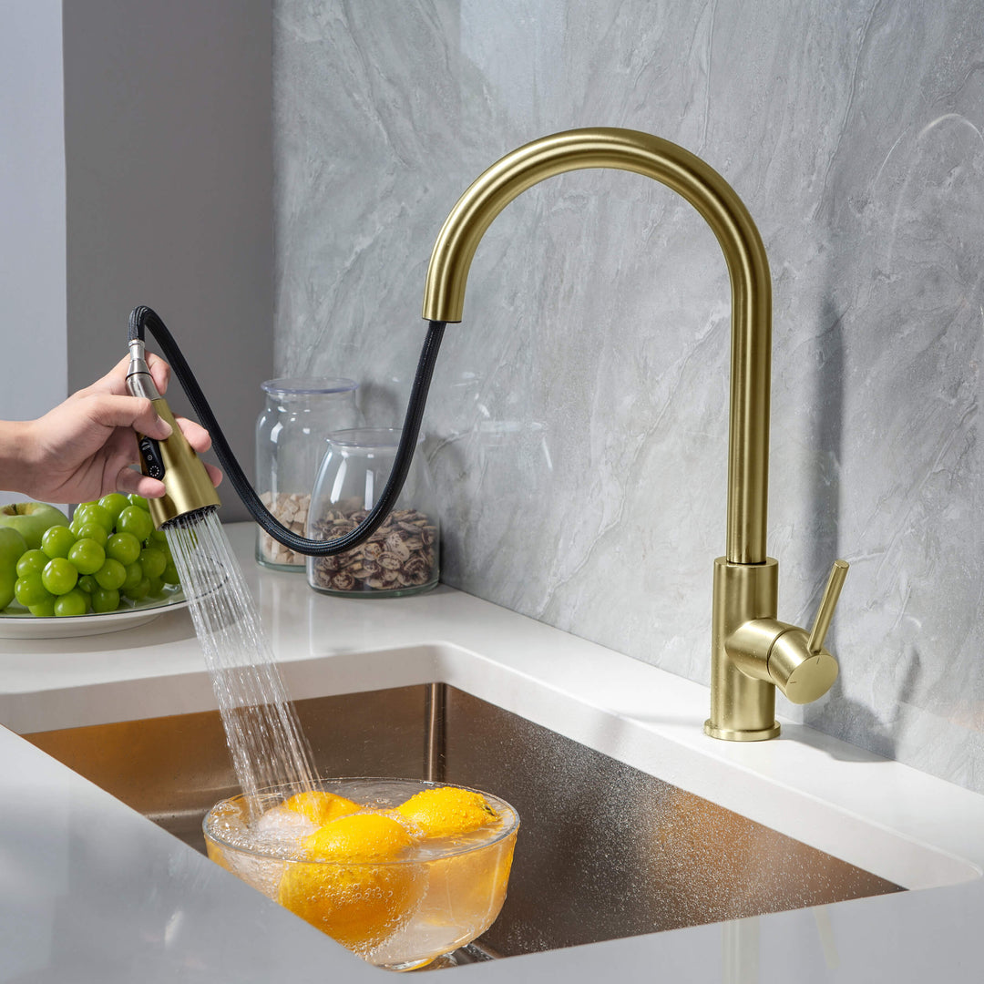 Value Collection Single-Handle Pull-Down Kitchen Faucet in F102
