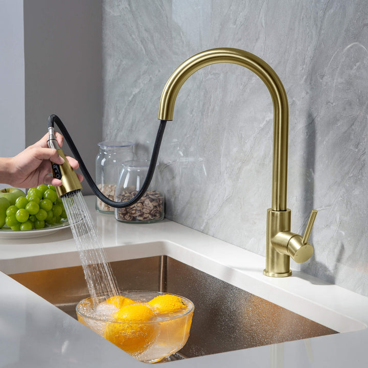 Value Collection Single-Handle Pull-Down Kitchen Faucet in F102