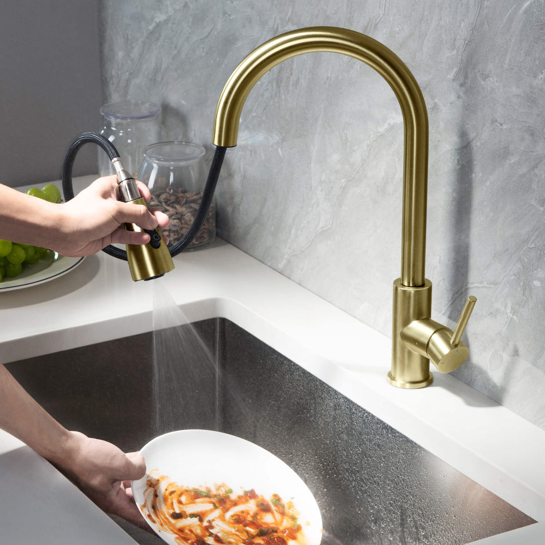 Value Collection Single-Handle Pull-Down Kitchen Faucet in F102