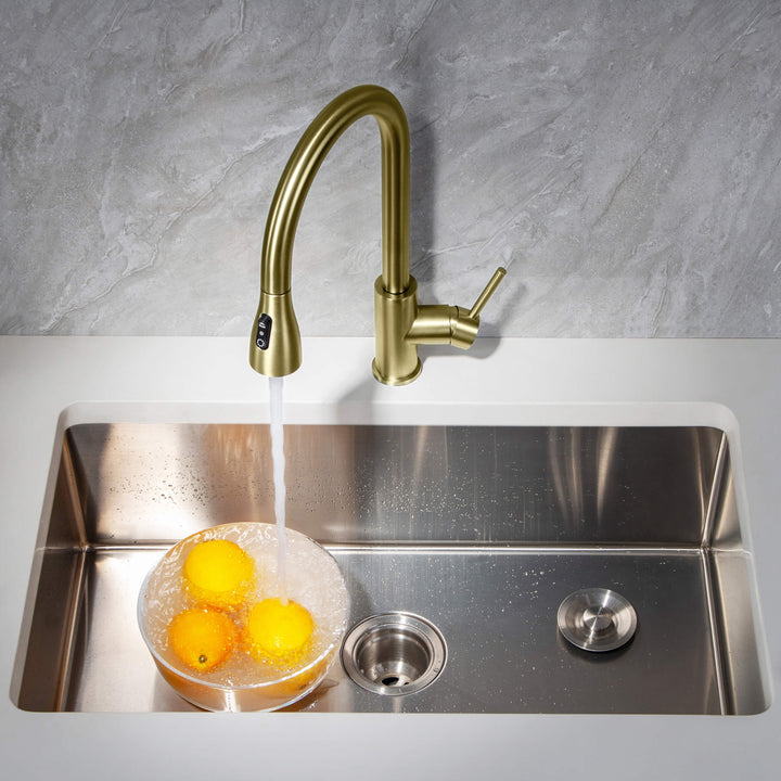 Value Collection Single-Handle Pull-Down Kitchen Faucet in F102