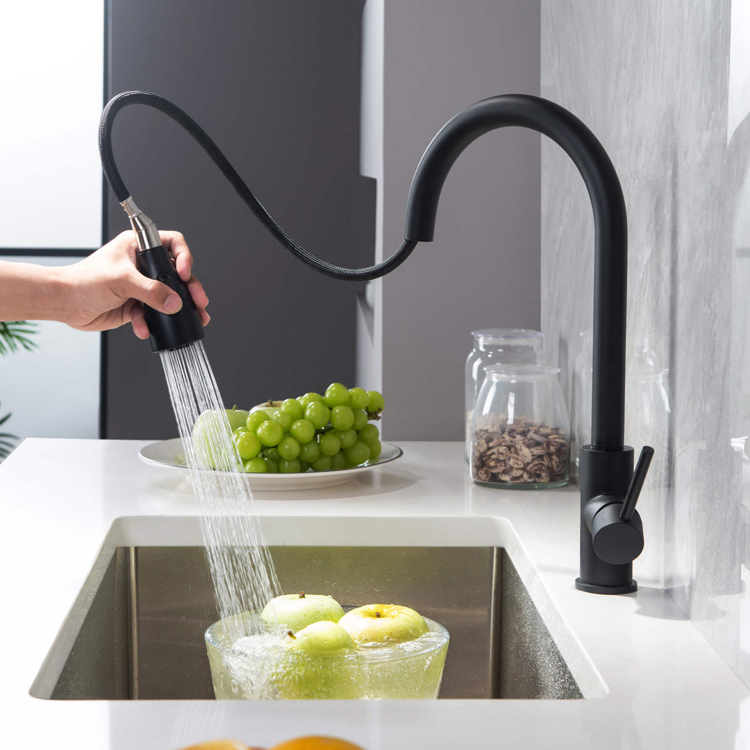 Value Collection Single-Handle Pull-Down Kitchen Faucet in F102