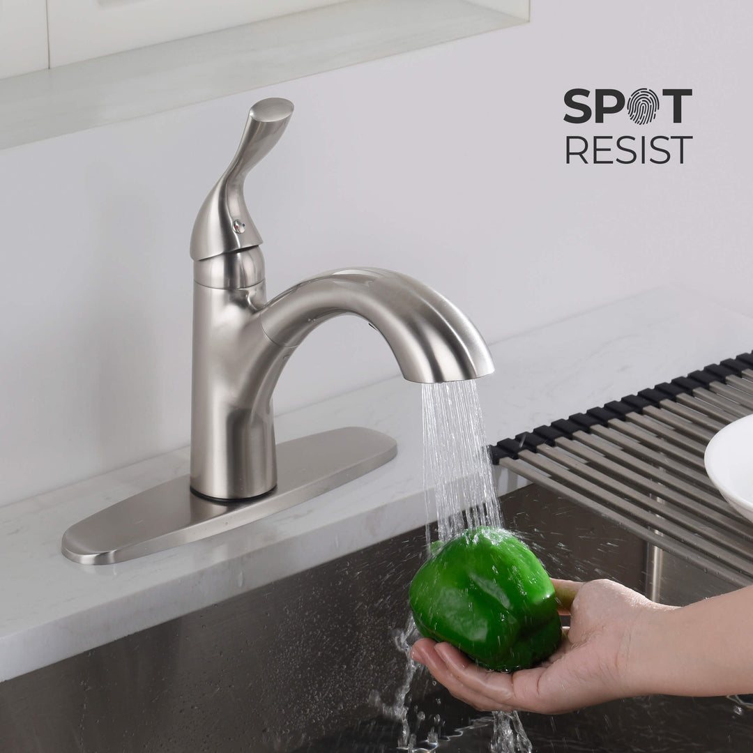 Value Collection Single-Handle Pull-Out Kitchen Faucet