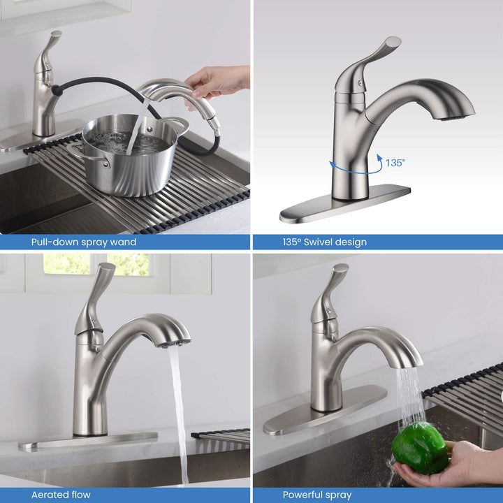Value Collection Single-Handle Pull-Out Kitchen Faucet