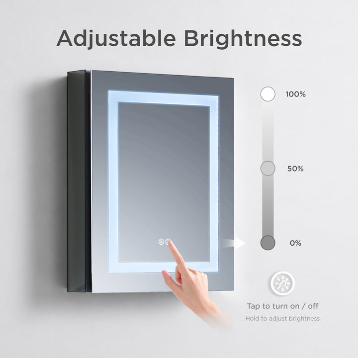 Rigel 20" Recessed or Surface-Mount LED Medicine Cabinet
