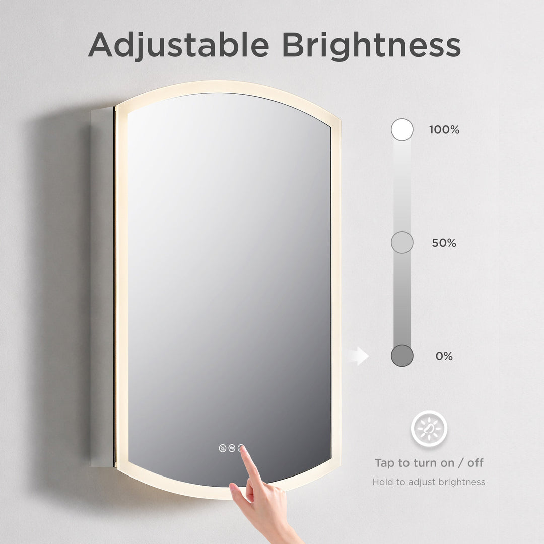 Castor Recessed or Surface-Mount LED Medicine Cabinet