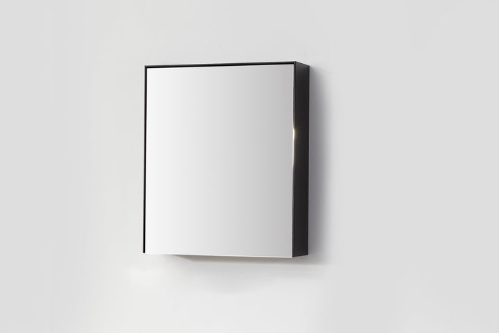 Bergen 24" Medicine Cabinet in Matte Black